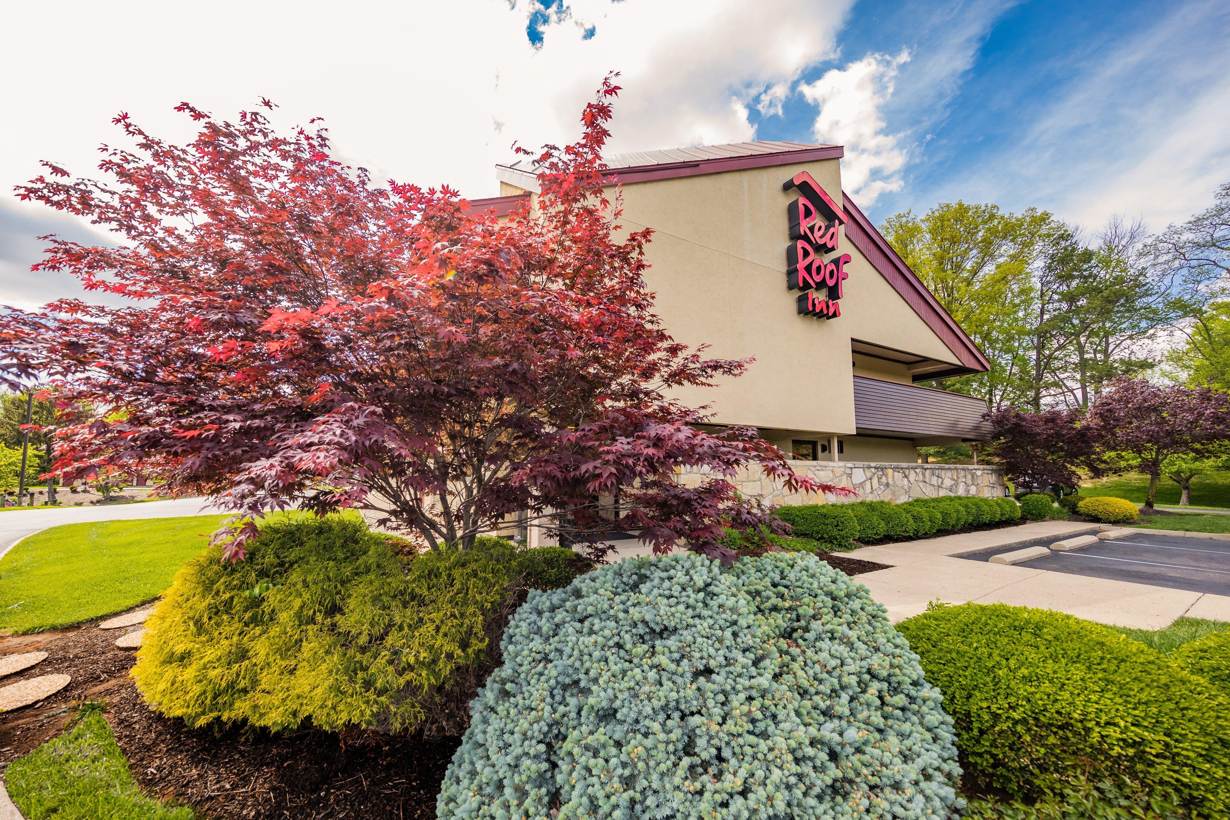 Red Roof Inn Cincinnati Northeast - Blue Ash Zewnętrze zdjęcie