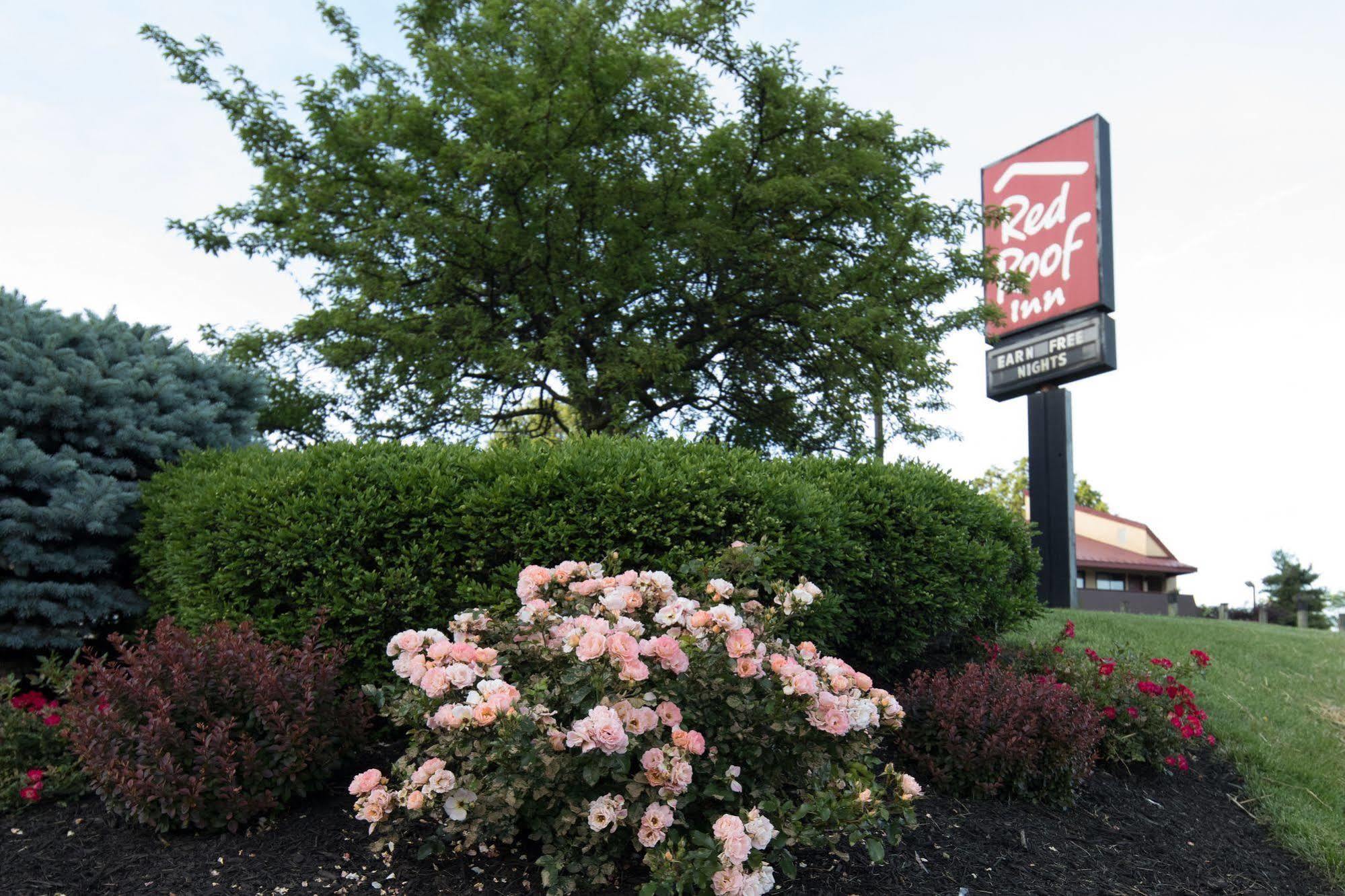 Red Roof Inn Cincinnati Northeast - Blue Ash Zewnętrze zdjęcie